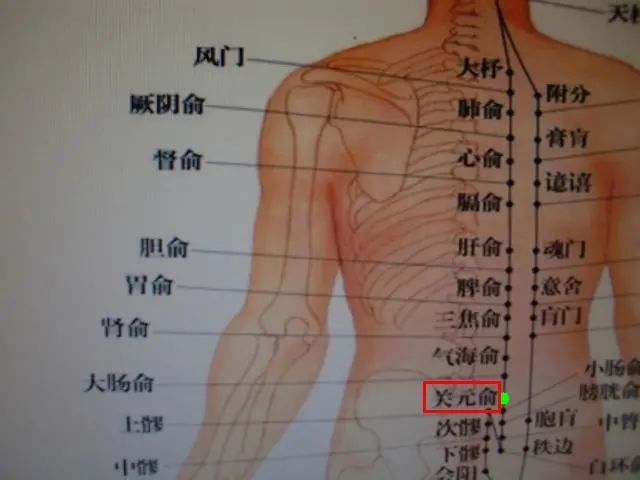 【穴位图】关元俞,调理腹胀,泄泻,小便频数或不利,腰痛