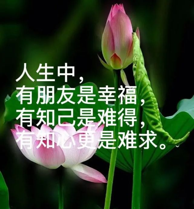 关注 人生中, 有朋友是幸福, 有知己是难得, 有知心更是难求.