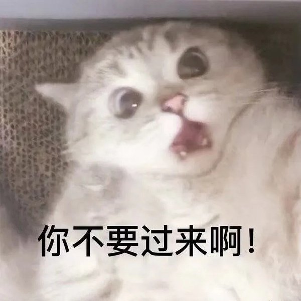 猫猫可爱表情包(六)你不要过来啊_腾讯新闻