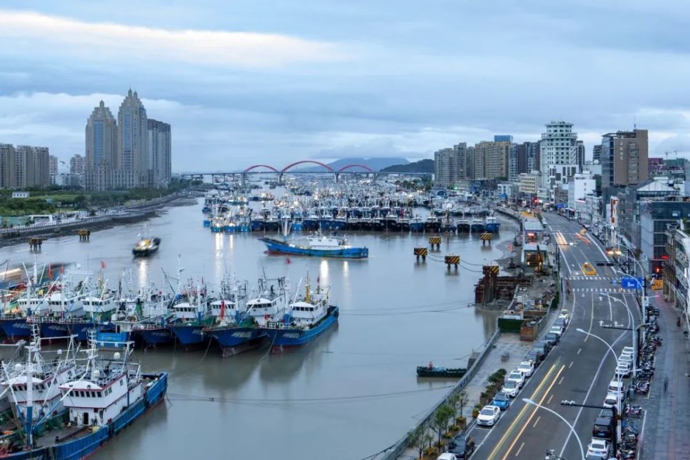 今天上午,沈家门渔港泊满了避台的渔港.(通讯员 郑宝森 摄)