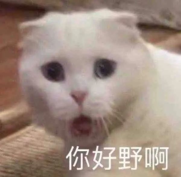 表情包|你好野哦