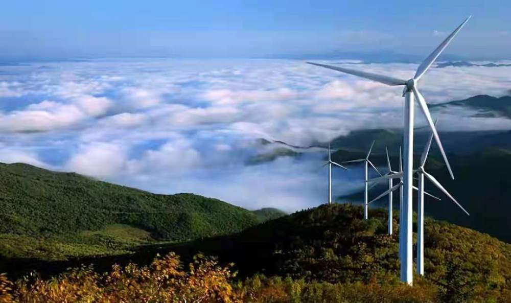 中国风电领跑世界,欧美却鼓动拆除,风力发电真的有危害吗?
