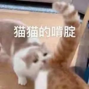 谐音梗表情包要笑死了!没有中文十级真的看不来!