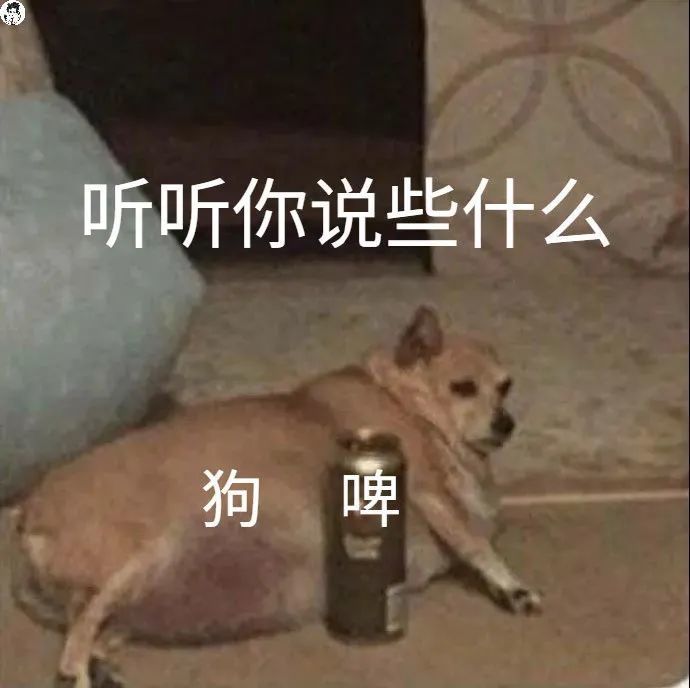 谐音梗表情包要笑死了没有中文十级真的看不来