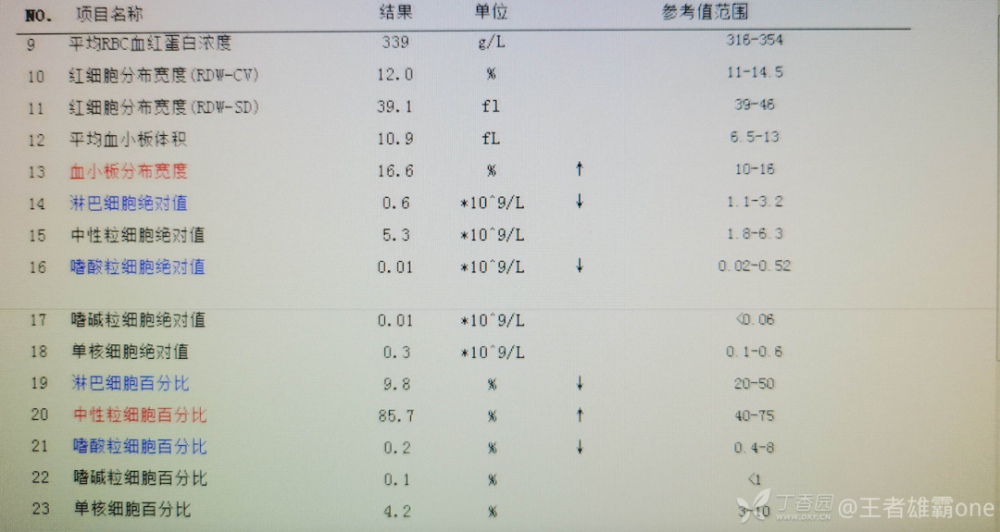 克林简谱_克林巴琴简谱(3)