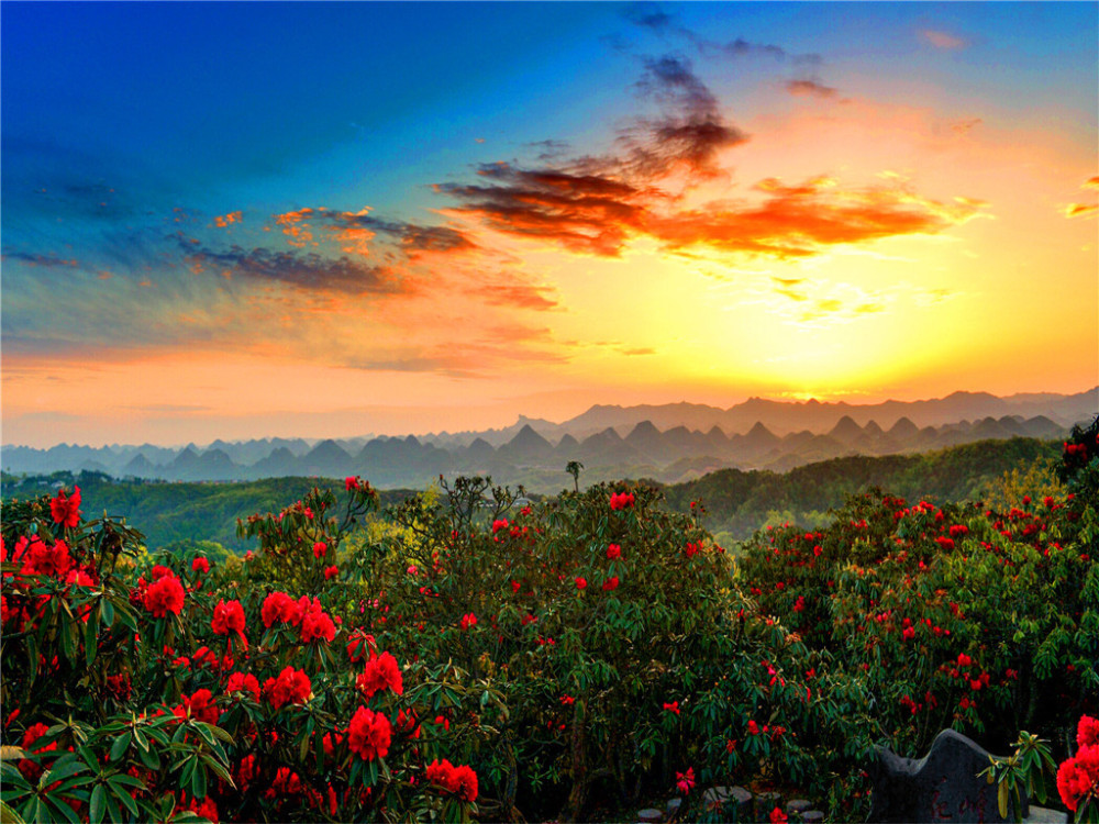 百里杜鹃风景名胜区美景