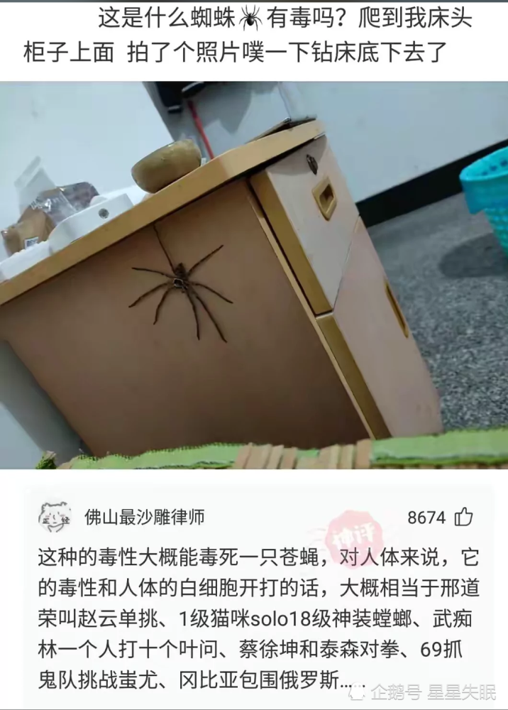 【沙雕回复6】这是什么蜘蛛,有毒吗?