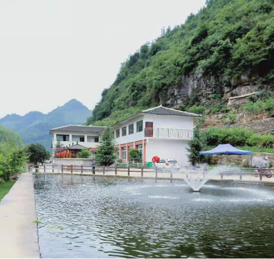 乡游黔中·毕节市 鹏程社区│邂逅地球的彩带,去看百里杜鹃花海