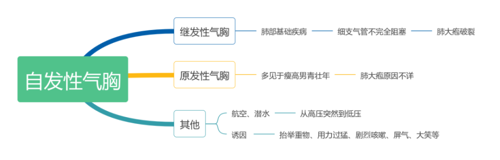 3,气胸的病因与发病机制2,气胸的分类:胸膜腔,是一个密闭的腔隙,呈