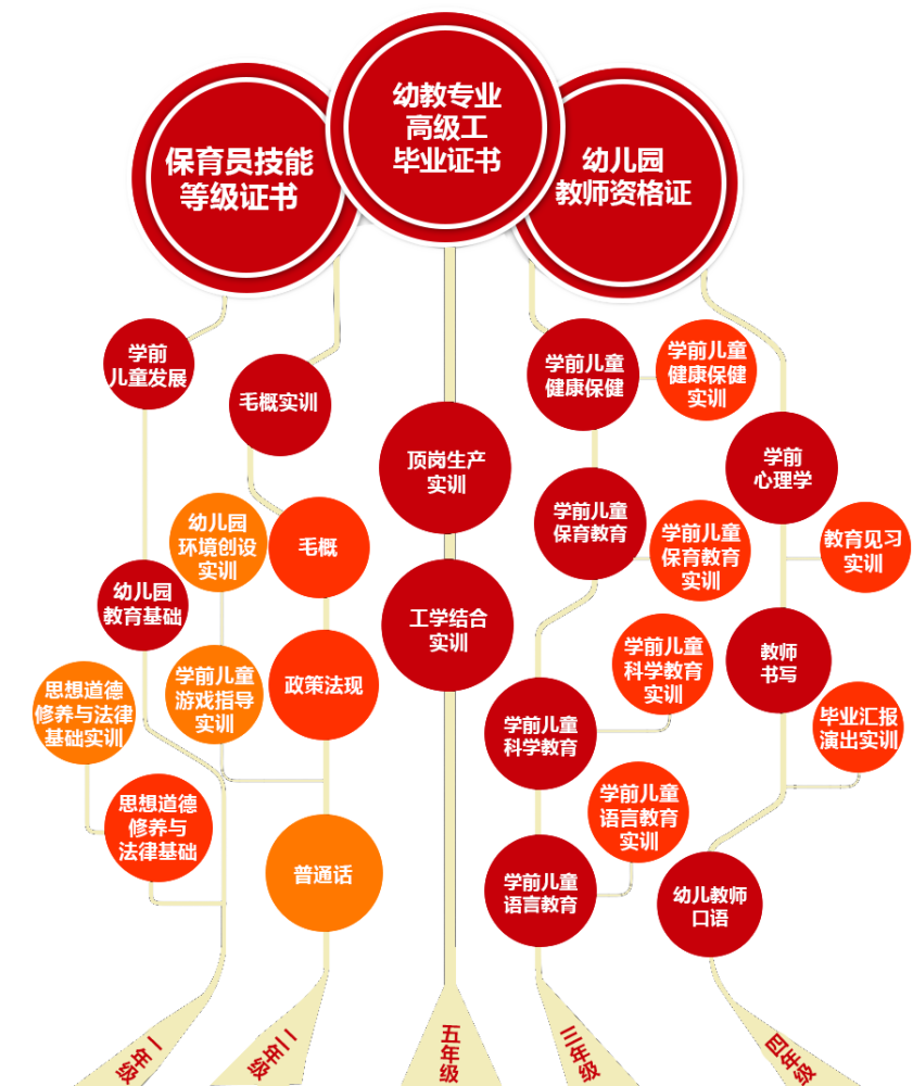 旅游服务与管理专业技能树