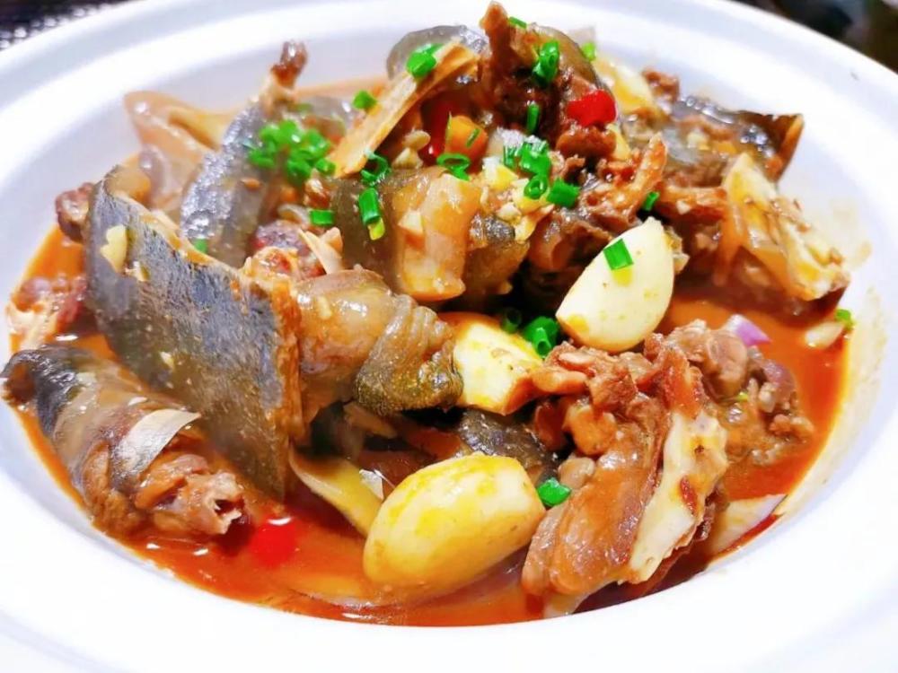 3.荆沙甲鱼