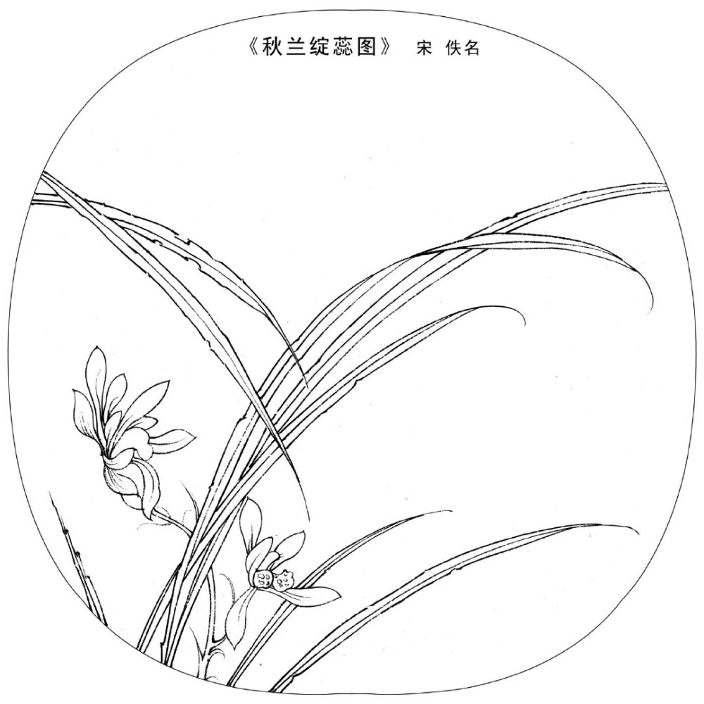 画白描线稿不会造型?常见9幅线稿收藏拓着画,适合初学者入门