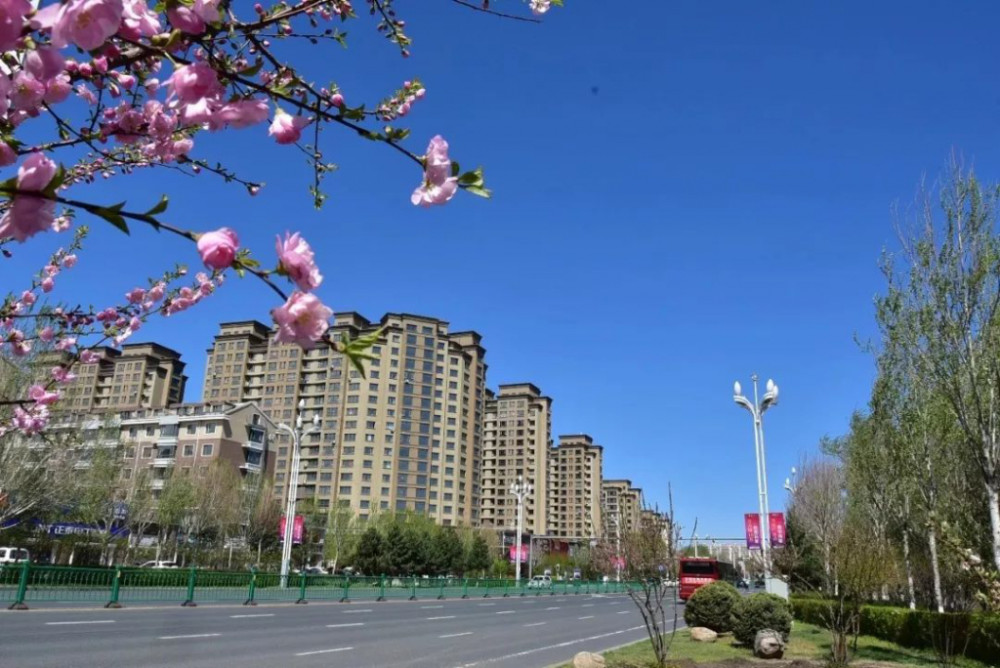 绥化市排名_绥化市地图(2)