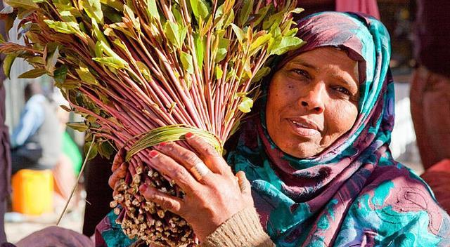 也门人人爱嚼一种树叶嘴嚼变形了国家也嚼穷了