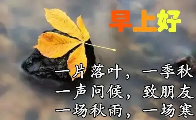 周末问候大家早上好图片祝福美图最赞的清晨问候美图