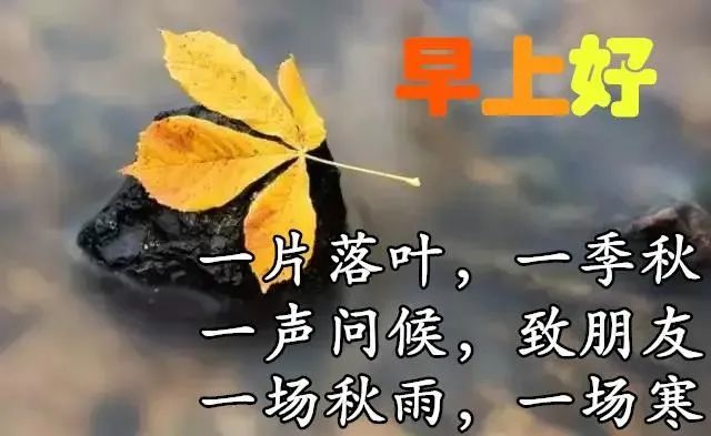 早上好朋友,早安问候语图片带字温馨,暖心早上好图片