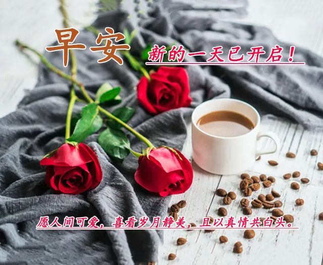 8张不用打字就可以聊天的早上好动画表情图片 好看的