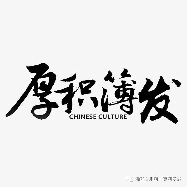 从来都没有什么人生开挂有的只是厚积薄发