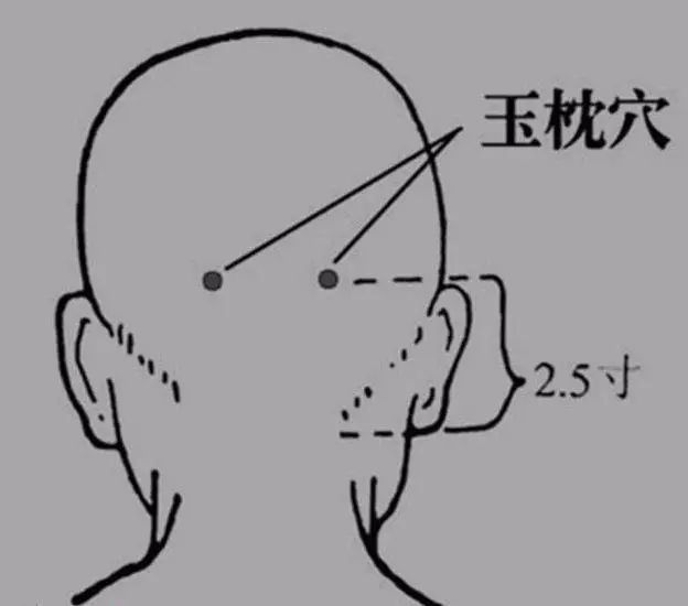 玉枕的准确位置图 腾讯网