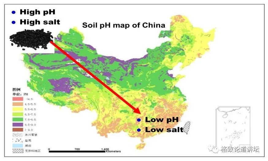 有了这种技术,中国10亿亩盐碱地或将变宝地,新疆受益最大!