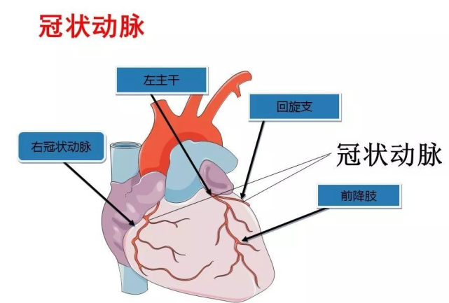 "气死"是真的!72岁老太吵架进医院,很多病都跟情绪有