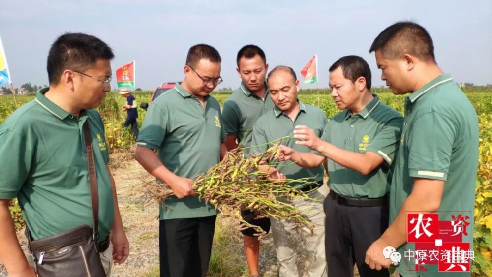 荆楚福地,岁月轮转.中豆41,中豆57,大豆产业新霸主!