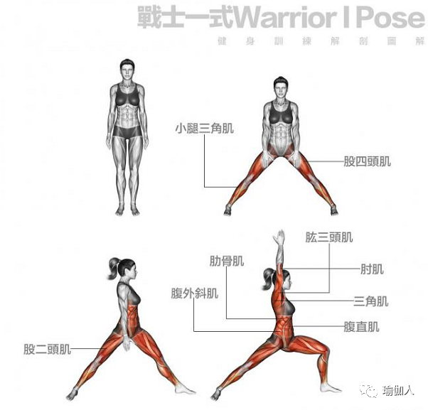 6 扭转三角式训练肌肉部位:小腿三角肌,股四头肌,肱三头肌,阔背肌