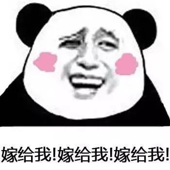 熊猫头求婚表情包系列