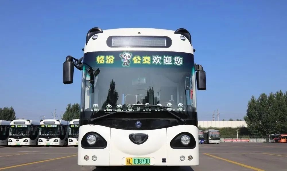 临汾熊猫公交车正式投入运营,网友纷纷表示:好