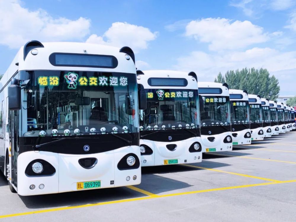 临汾熊猫公交车正式投入运营,网友纷纷表示:好