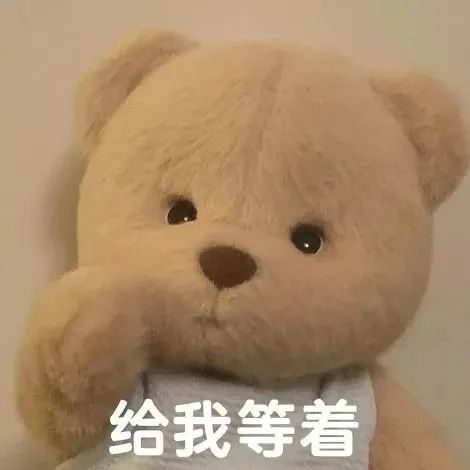 流行图丨可爱软萌熊熊玩偶表情包