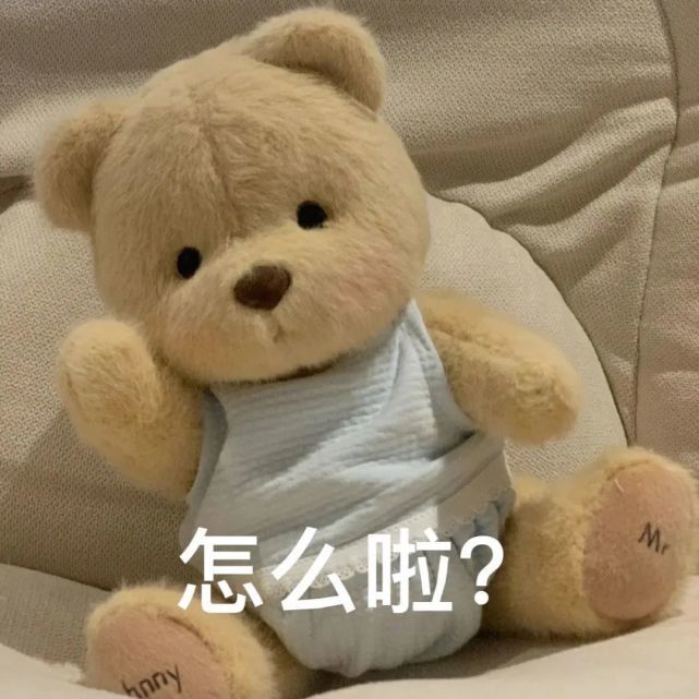 流行图丨可爱软萌熊熊玩偶表情包