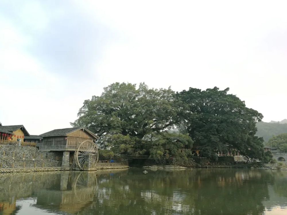 福建土楼最全旅游攻略,田螺坑or云水谣?