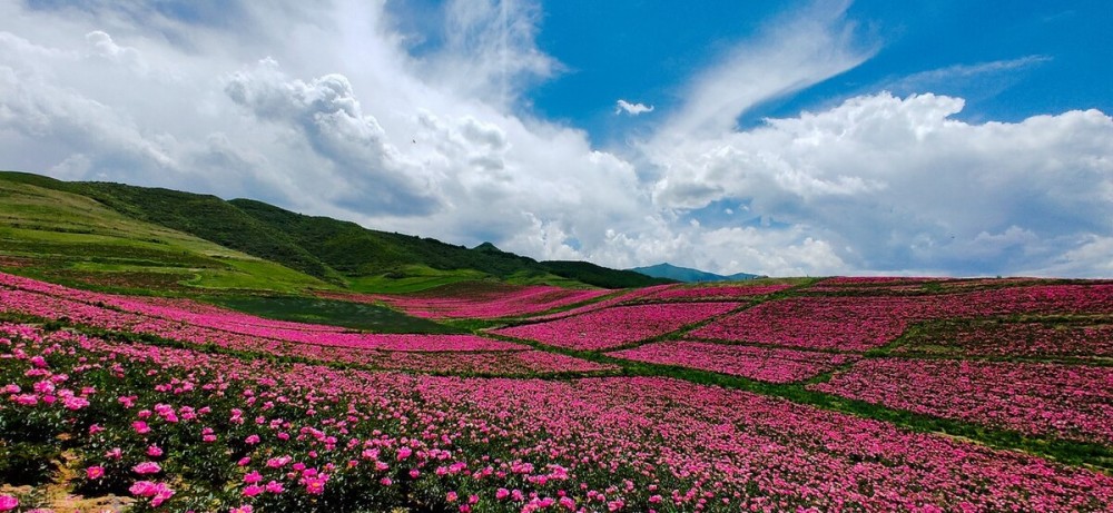 西藏宁夏人均gdp_澜沧景迈机场力争5月建成通航 2017年 这些大事影响着云南每个人的生活(2)