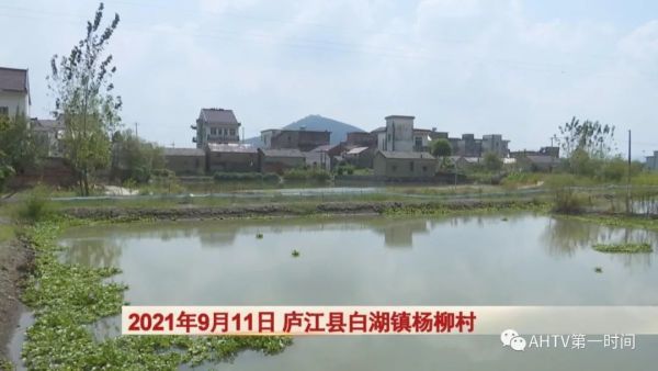 据安徽卫视第一时间报道 前几天,庐江县白湖镇杨柳村发生一件不幸的事