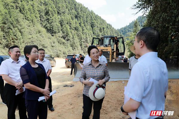 龙晓华调研保靖县锰锌钒产业及保靖县黄金茶茶旅特色