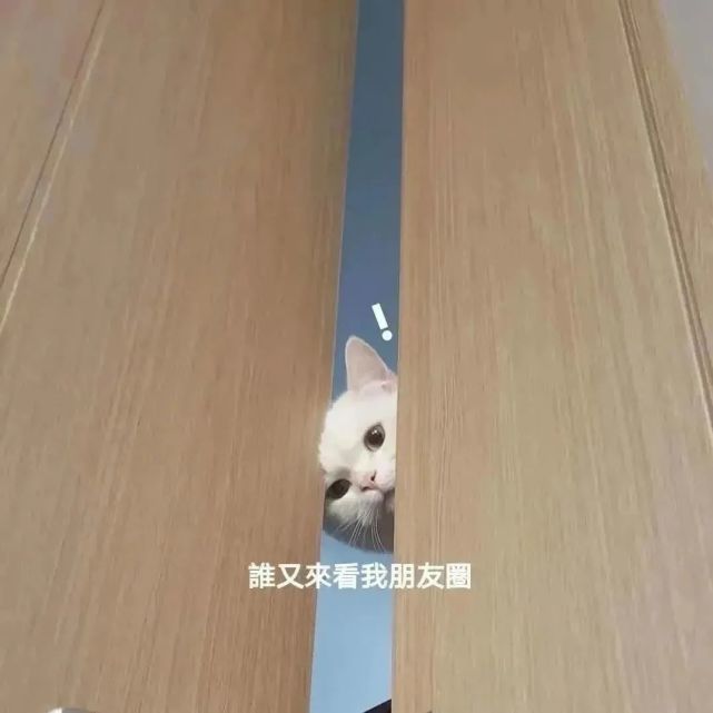 朋友圈背景图/2021.9.13