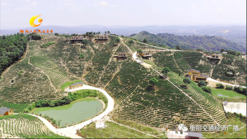 衡阳婚纱基地_湖南衡阳气象训练基地(2)