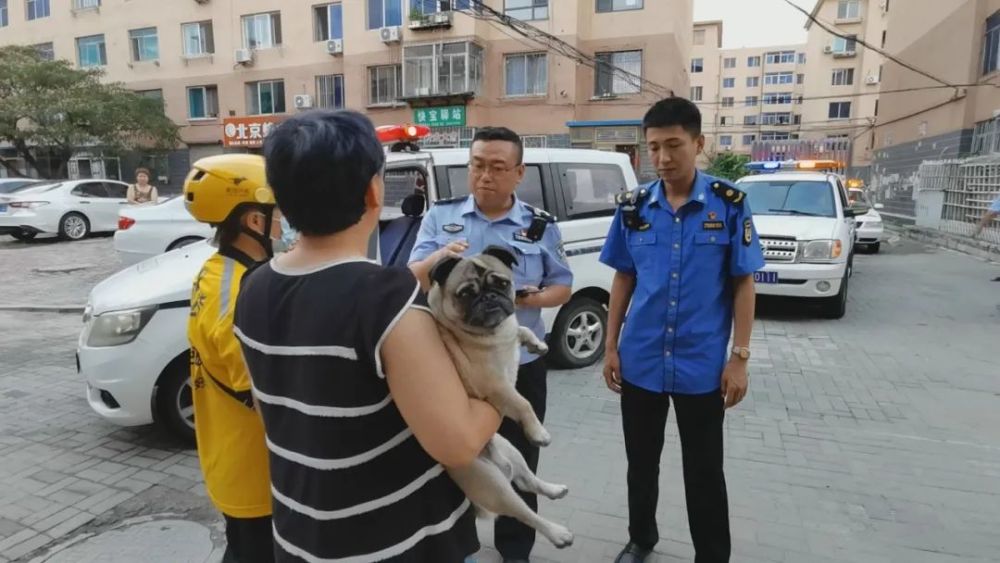 鲅鱼圈:合成作战 深度融合 同步推进