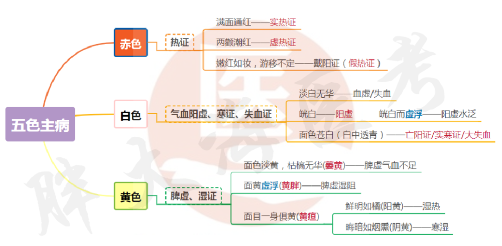 【思维导图】中医诊断学—望诊重点分享