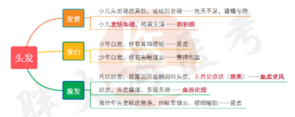 【思维导图】中医诊断学——望诊重点分享