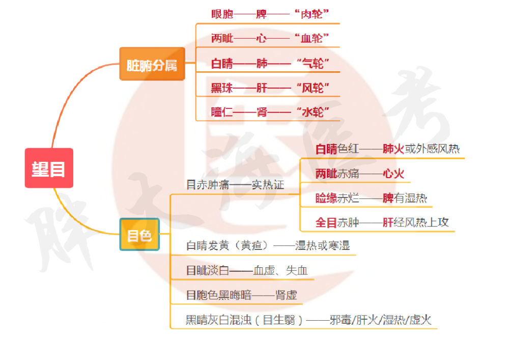 【思维导图】中医诊断学—望诊重点分享_腾讯新闻