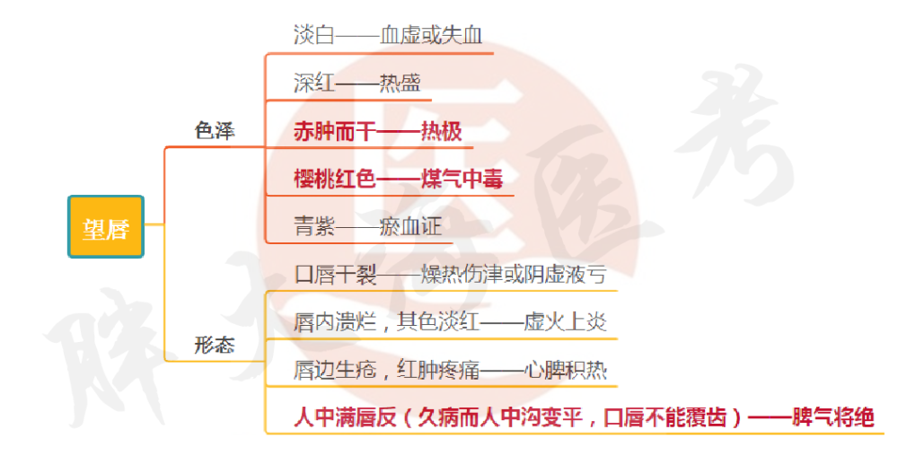 【思维导图】中医诊断学—望诊重点分享