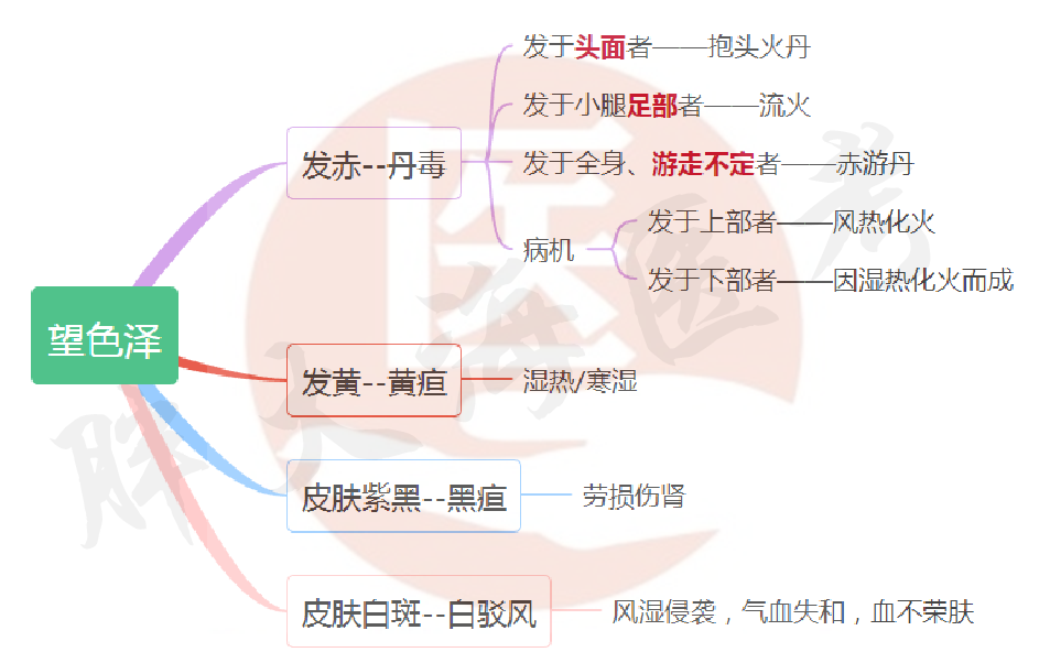 【思维导图】中医诊断学——望诊重点分享