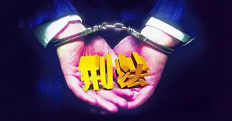 女子在高铁上殴打列车长,当众脱掉衣服叉腿拦截过道,如何评价