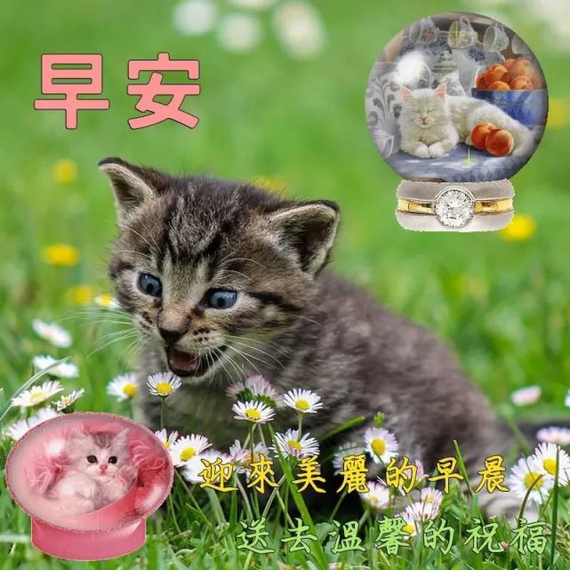 早上好清晨慰问朋友的祝福短信,超漂亮的早晨好问候语