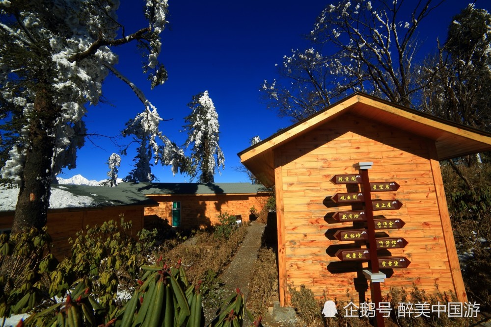 探访王岗坪景区,观日出云海,感受星空下的雪山盛宴