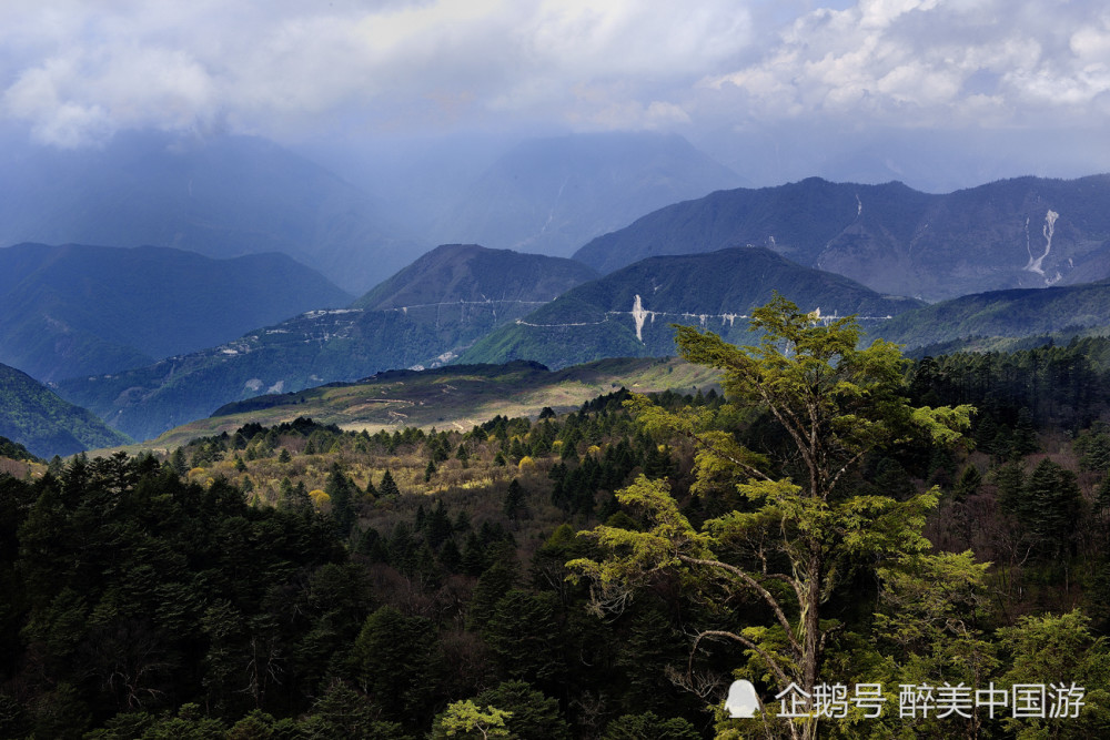 探访王岗坪景区,观日出云海,感受星空下的雪山盛宴