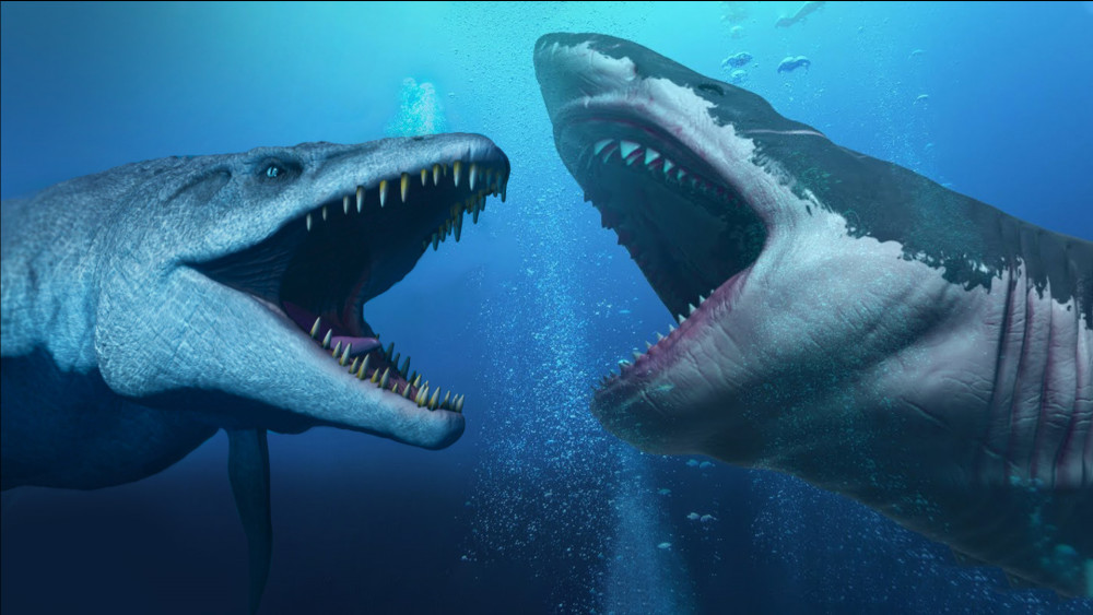 盘点5种轻松秒杀巨齿鲨的史前动物,巨型乌贼入选,沧龙仅排第3