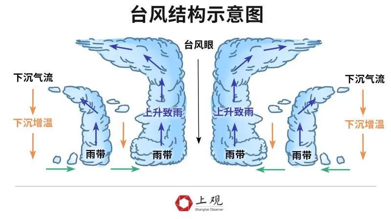 上海地铁5条停运线路逐步恢复运营为什么魔都遇到台风总有结界